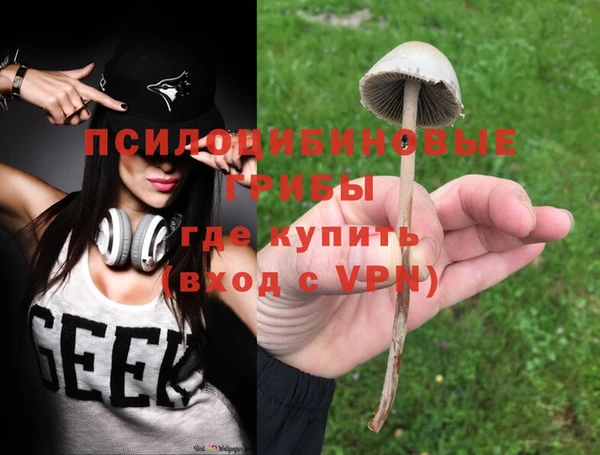 мяу мяу мука Краснослободск