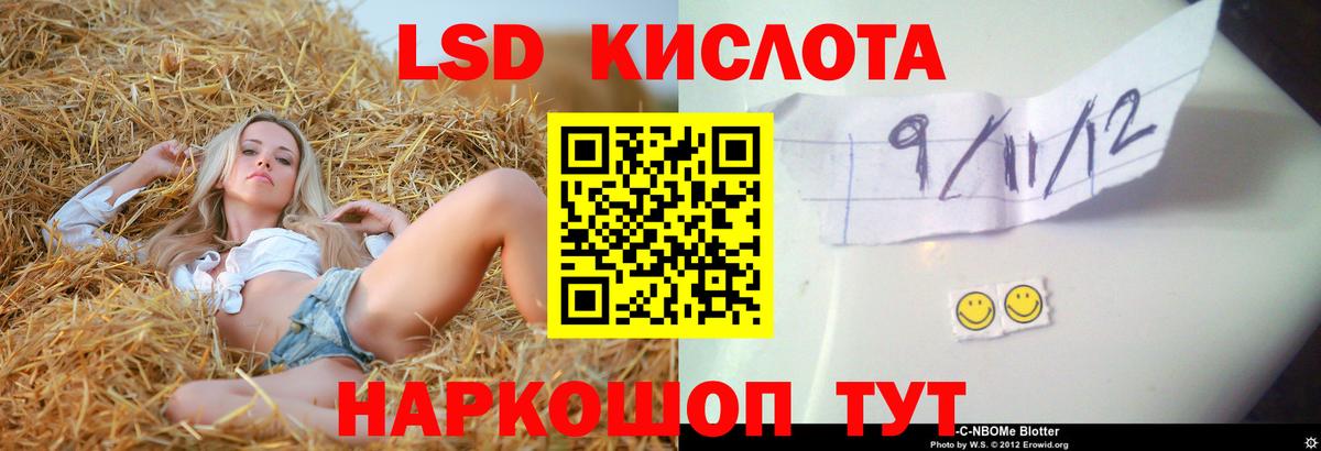 мега как войти  Лсд 25 экстази кислота  Вход с VPN  Бердск 