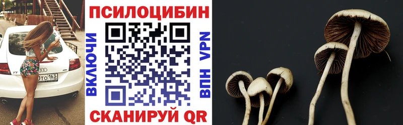 Галлюциногенные грибы Psilocybe  купить закладку  гидра ТОР  Бердск 