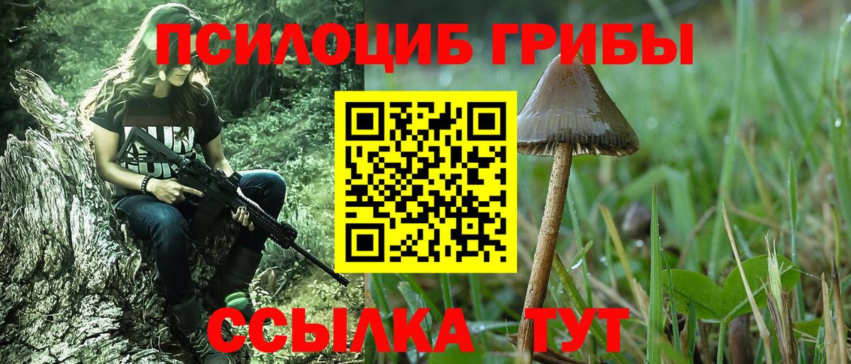 Галлюциногенные грибы GOLDEN TEACHER Бердск