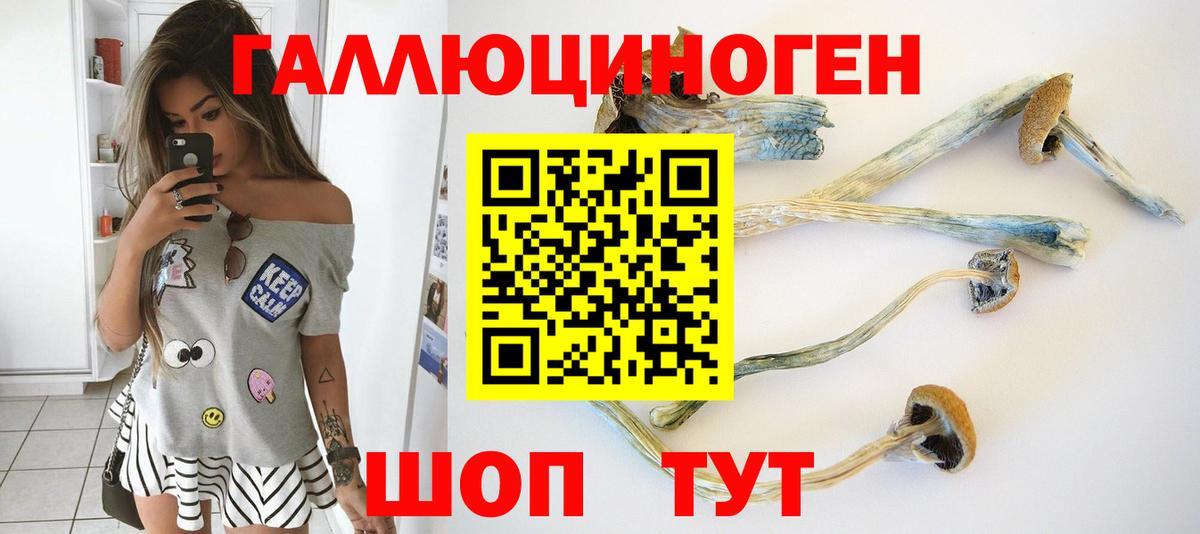 Псилоцибиновые грибы мухоморы  Вход с VPN  Бердск 